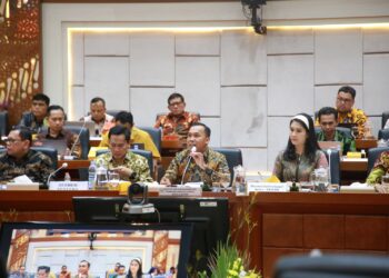 DPR: Penanganan Stunting Sebaiknya Tetap Dikoordinir Kementerian Kemendukbangga/BKKBN