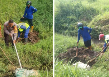 Bikin Heboh Warga, Temuan Karung di Tangsel Ternyata Berisi Bangkai Kambing