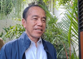 Ajudan Jokowi Beberkan Penyebab dan Kondisi Terkini Soal Penyakit Kulit