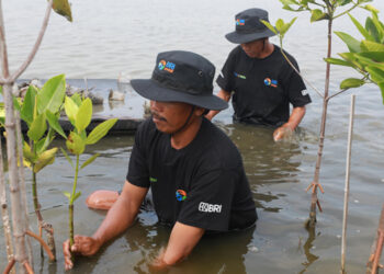 Peringati Hari Lingkungan Hidup Sedunia, BRI Pertegas Komitmen Jaga Ekosistem Lingkungan melalui BRI Menanam – Grow & Green