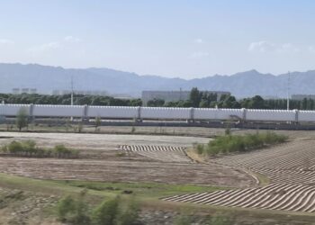 DISWAY: 大同 Timur