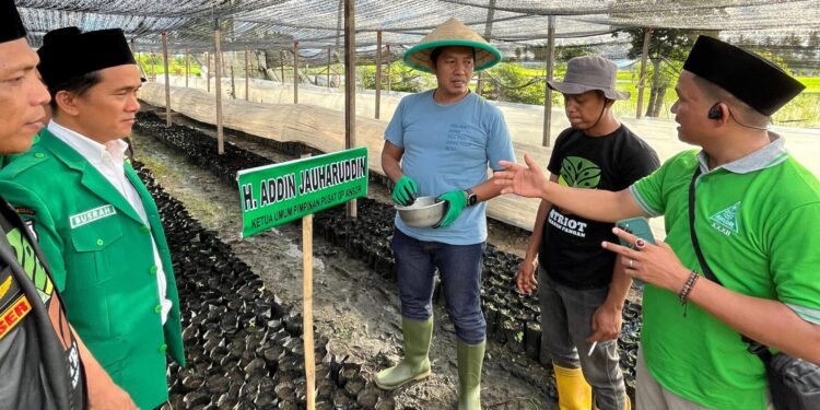 Tanam 200 Ribu Bibit Kakao di Sulbar, Ketum GP Ansor: Ikhtiar Ketahanan Pangan