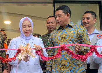 BNPB-BMKG Perkuat Sistem Peringatan Dini Tsunami