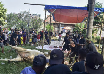 Daging Kurban Dipastikan Aman Sebelum Dibagikan ke Warga Tangerang
