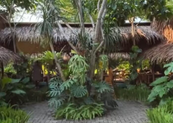 Omah Badok Usung Sensasi Makan Bak di Kampung Halaman