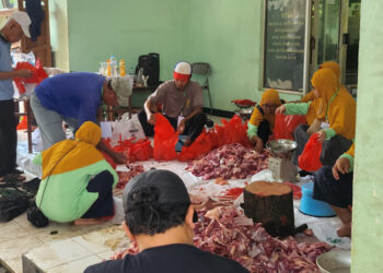 Disembelih Hari Ini, Sapi Kurban Presiden Prabowo di Tangsel Dibagikan ke Warga