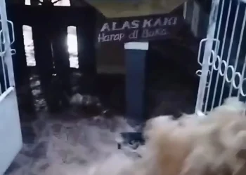 Banjir dan Longsor Hantam Megamendung, Satu Orang Meninggal Dua Santri Diduga Tertimbun