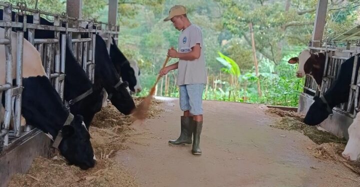 Dapat Fasilitas Pembiayaan dan Transaksi BRI, Klaster Susu di Ponorogo Berhasil Tingkatkan Kapasitas Produksi