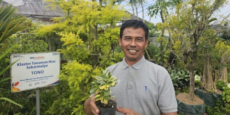 Sukses Jadi Mata Pencaharian Warga Sekitar, Ini Kisah Klaster Usaha Tanaman Hias Binaan BRI