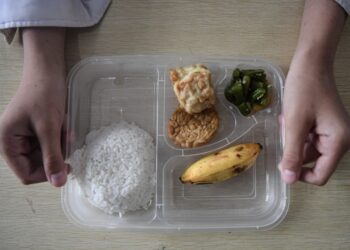 Menu MBG di SDN Rawa Buntu Tangsel Basi, Kepala Sekolah: Tahu Isi sudah Berlendir