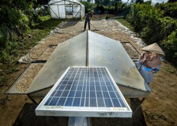 Wujudkan Komitmen Sebagai World-Class Sustainable Banking Group, BRI Perkuat Kontribusi terhadap SDGs