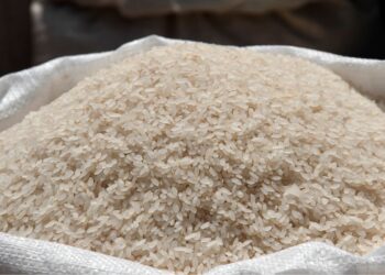 Pembagian Beras Gratis 20 Kilogram, Warga Tangsel Rela Antre Berjam-jam