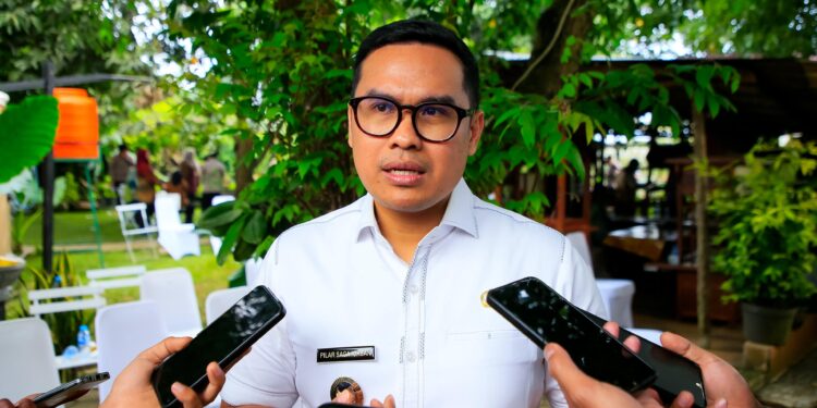 Wakil Wali Kota Tangerang Selatan (Tangsel) Pilar Saga Ichsan