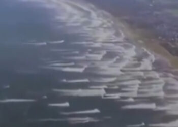 Gelombang Tsunami Akibat Gempa Bumi di Rusia Capai Jepang