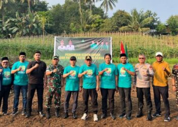 Tanam Jagung dan Dirikan BUMA, GP Ansor Bangun Ekonomi Berbasis Komunitas di Maluku Utara