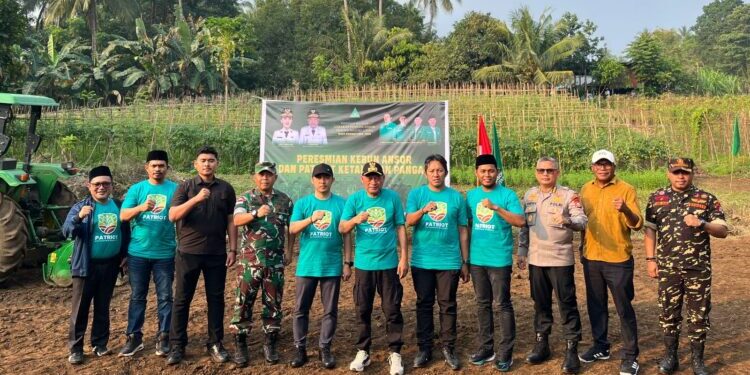 Tanam Jagung dan Dirikan BUMA, GP Ansor Bangun Ekonomi Berbasis Komunitas di Maluku Utara