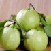 Jangan Dibuang! Ini Tujuh Manfaat Daun Jambu Biji yang Jarang Diketahui
