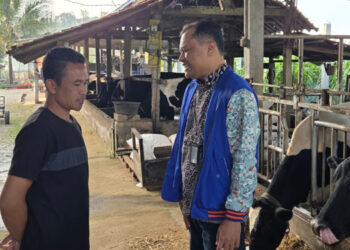 Kisah Pengusaha Pakan Ternak Ponorogo Ini Buktikan KUR BRI Bikin Usaha Berkembang