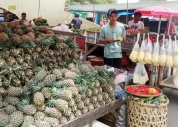 Manfaatkan KUR BRI, Pedagang Nanas Ini Sukses Kembangkan Produk Olahan yang Diminati Pasar