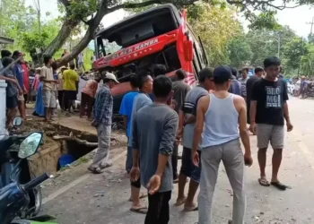 Kecelakaan Bus Wisata di Jalur Bromo, Delapan Orang Tewas Didominasi Warga Jember