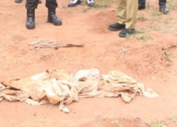 Geger Temuan Kain Kafan dan Tulang di Tangerang, Polisi: Dulunya Makam Keluarga