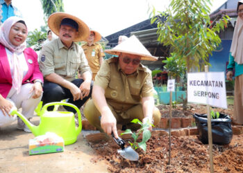 Tekan Inflasi, Pemkot Tangsel Tanam 2.000 Bibit Cabai dan Terong