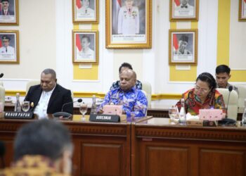 Belum Ngantor, Gubernur Fakhiri Lobi 4 Kementerian untuk Tuntaskan Masalah Papua