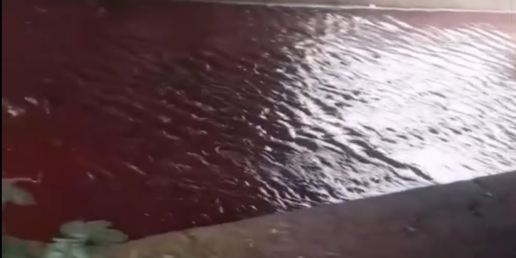 Air Kali Rawa Buntu Mendadak Merah, DLH Tangsel Lakukan Investigasi