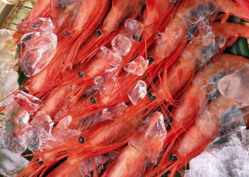 Udang Beku Terpapar Cs-137, Begini Risiko dan Bahayanya Menurut Ahli