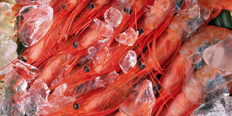 Udang Beku Terpapar Cs-137, Begini Risiko dan Bahayanya Menurut Ahli