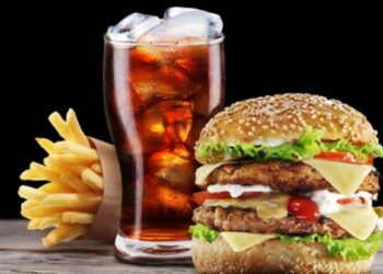 Peneliti Temukan Fast Food Dapat Ganggu Fungsi ‘GPS’ Otak