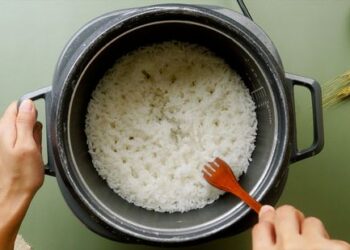 Ini Alasan Mengapa Nasi Tak Boleh Disimpan Terlalu Lama di Rice Cooker