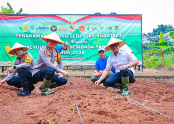 Pilar Dukung Tanam Jagung Serentak Bersama Polres Tangsel di Kawasan Pertanian Terpadu