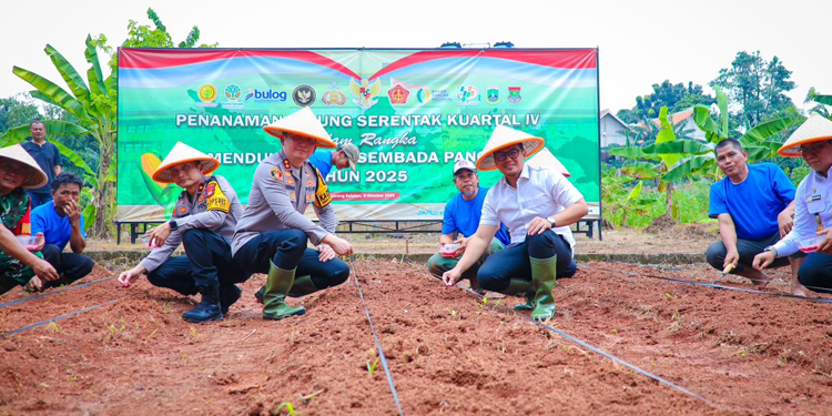 Pilar Dukung Tanam Jagung Serentak Bersama Polres Tangsel di Kawasan Pertanian Terpadu