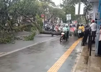 Imbas Hujan Deras dan Angin Kencang, Pohon Besar Roboh di Ciater Raya Tangsel