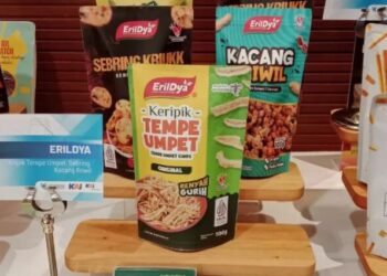 Sinergi Inovasi dan Tradisi, BRI Antarkan UMKM “Erildya Cemilan Family” Naik Kelas