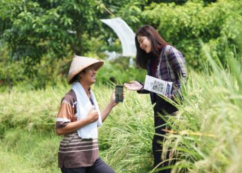 Bawa Efek Positif, Pembiayaan KUR BRI Terbukti Dorong Kenaikan Omzet UMKM hingga Double Digit