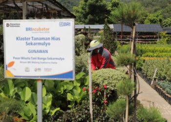 Perkuat Keberpihakan pada Ekonomi Kerakyatan, Holding Ultra Mikro BRI Salurkan Pembiayaan Rp632 Triliun kepada 34,5 Juta Debitur