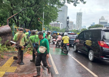 Pohon Tumbang di Dekat Bundaran Senayan, Lalu Lintas Padat