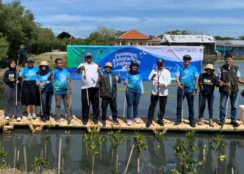 Perkuat Konservasi Pesisir di Kabupaten Tangerang, Sinar Mas Land Gelar Aksi Tanam 5.500 Mangrove dan Lepas 100 Ekor Belangkas Tapal Kuda
