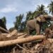 Miss Earth 2019 Lirabica Kecam Pengerahan Gajah untuk Bersihkan Kayu Gelondongan di Aceh