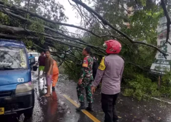 Hujan Deras dan Angin Kencang Robohkan Pohon Besar di Sawangan Depok