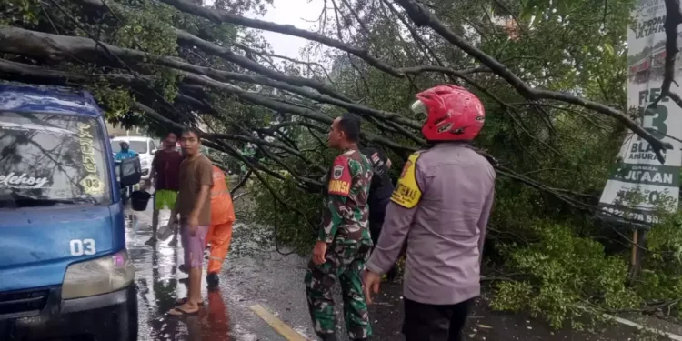Hujan Deras dan Angin Kencang Robohkan Pohon Besar di Sawangan Depok