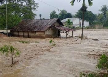 Banjir Aceh Hari ke-12: 309 Warga Meninggal, 92 Masih Hilang, Sejumlah Wilayah Terisolasi