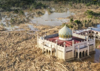 Bareskrim Polri Ungkap Ada Ilegal Logging di Hutan Hulu Sungai Tamiang