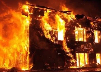 Pasar Induk Kramat Jati Terbakar Senin Pagi, Api Berhasil Dilokalisir