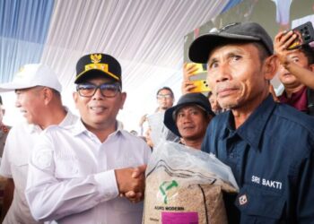 Dukung Swasembada Pangan, Gubernur Banten Andra Soni: Produksi Padi Banten 2025 Melonjak 16,84 Persen