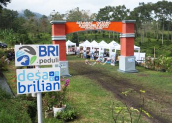 Jangkau 5.245 Desa BRILiaN, BRI Perluas Dukungan bagi Pengembangan Ekonomi Desa