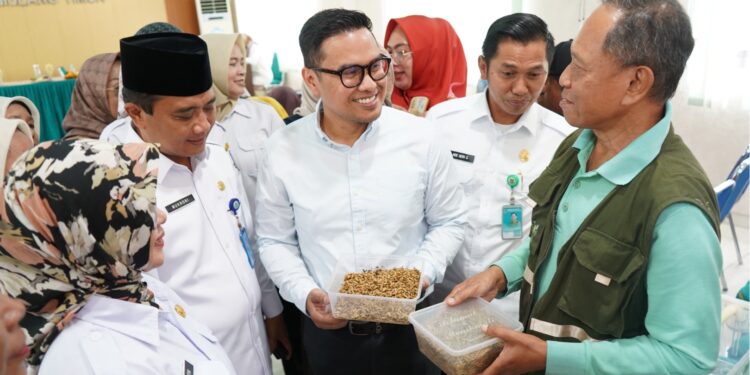 Pemkot Tangsel Dorong Budidaya Maggot sebagai Solusi Sampah Organik Berkelanjutan