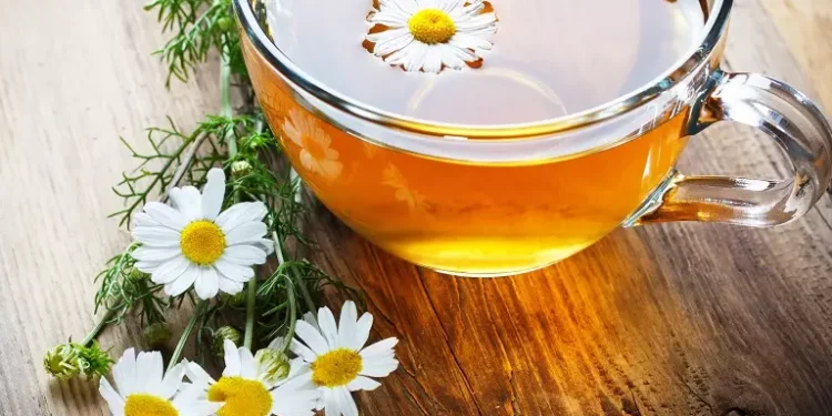 Tekanan Darah Sering Naik di Pagi Hari? Cegah dengan 3 Minuman Ini Sebelum Tidur